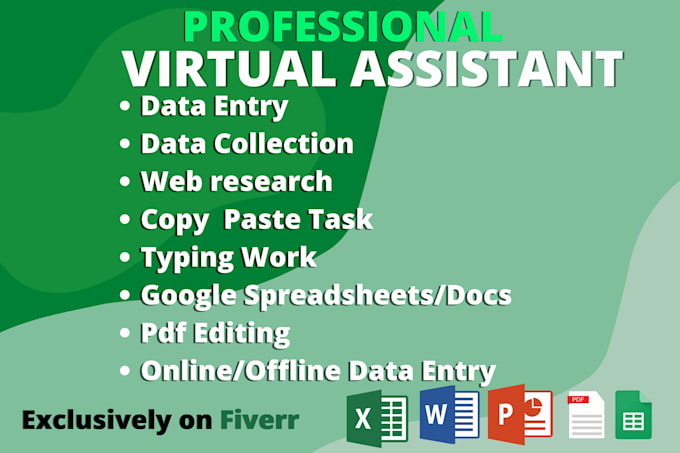 do professional data entry and virtual assist