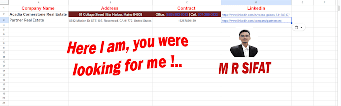 generate highly USA realestate leads motivated buyers seller