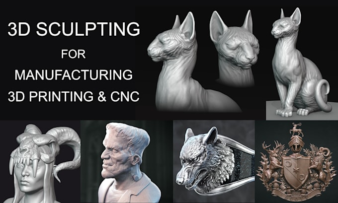 sculpt 3d characters creatures and organic forms