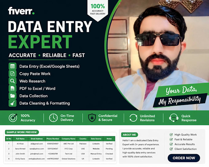 professional data entry expert skilled in excel copy paste