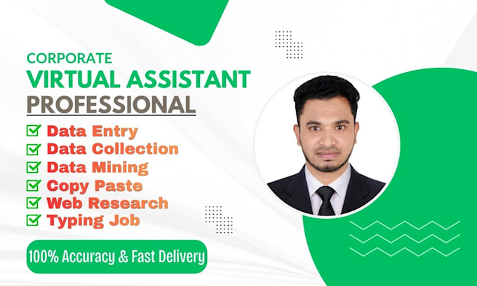 be your virtual assistant for excel data entry and financial auditing