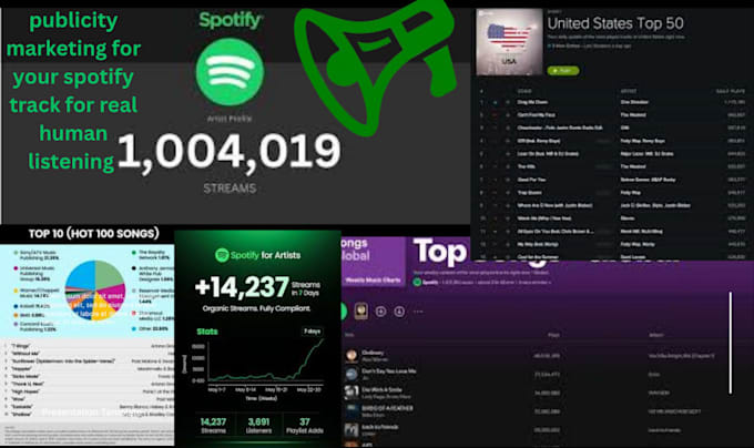 run targeted high quality ads for your spotify music to active music listeners