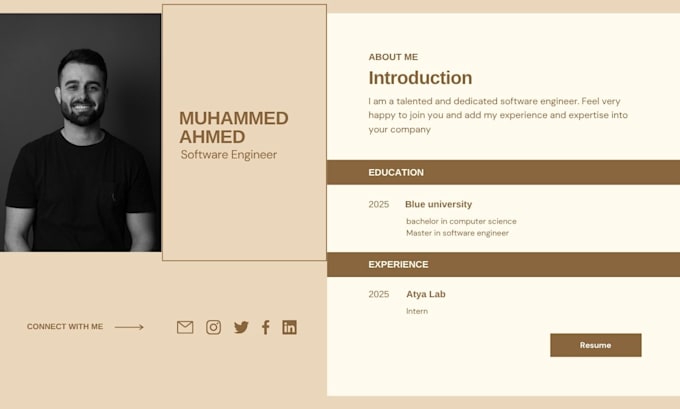 write professional CV and resume for you