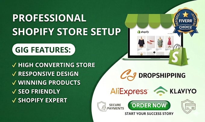 design profitable shopify droshipping store redesign website