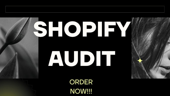 do full shopify audit in your store