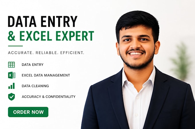 be your professional data entry and excel expert