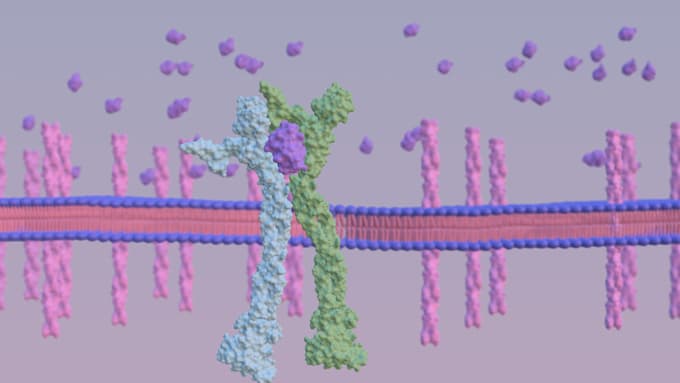 create professional biomedical 3d moa animation