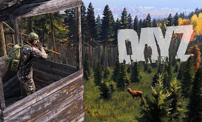 create custom dayz mods, scripts and server coding for you