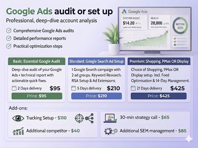 audit or set up your google ads