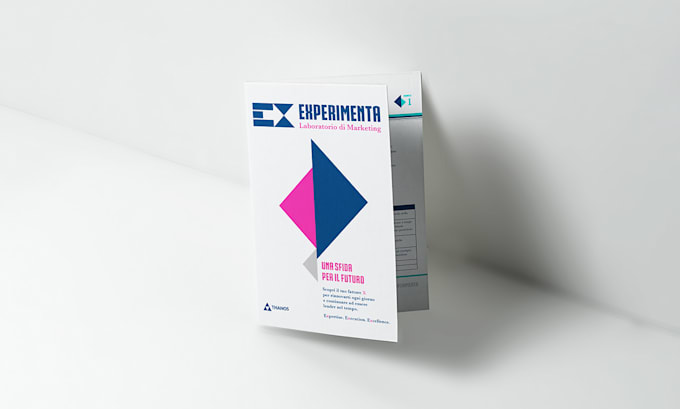 design professional flyers brochures and printready layouts