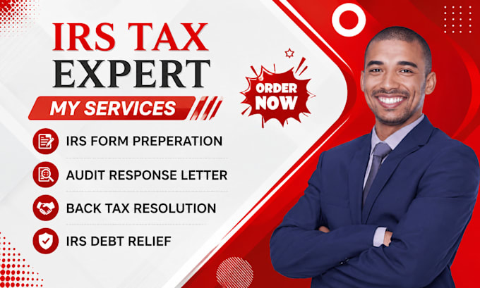 assist with irs audit help and back taxes resolution