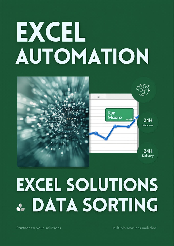provide expert excel vba automation and data sorting