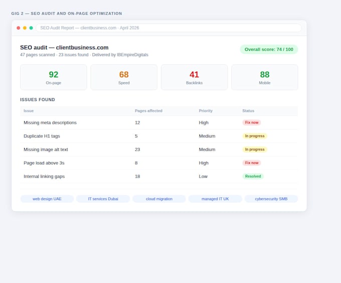 do a complete SEO audit and on page optimization for your website