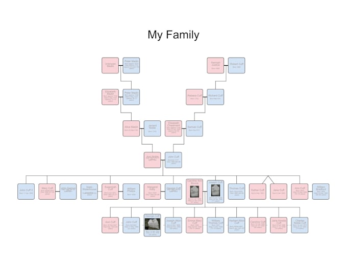 research and build your family tree