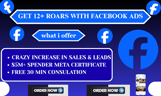 Create high converting facebook ads campaigns by Oyelakinhabeeb9 | Fiverr