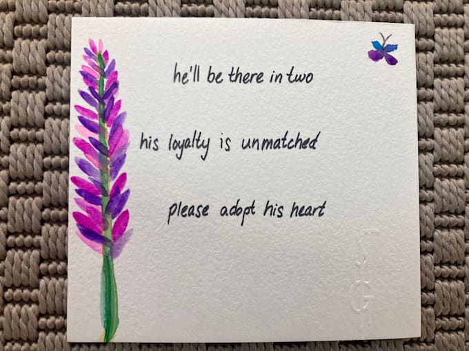 write a custom haiku for any occassion