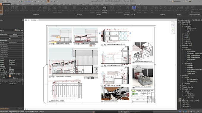 develop autodesk revit API plugin c pyrevit bim automation tool custom addin