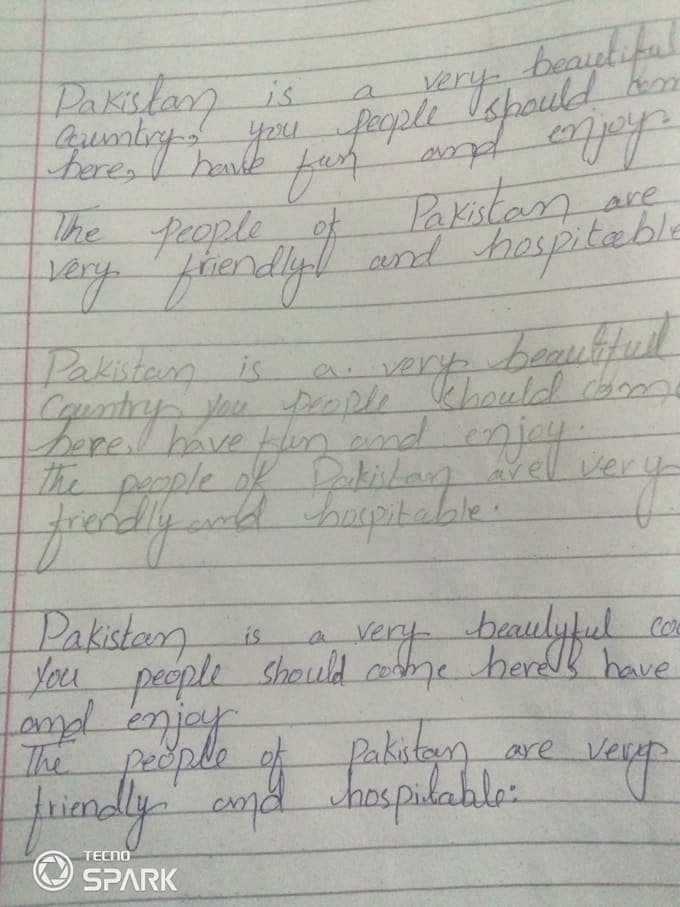 write neat hand written assignment