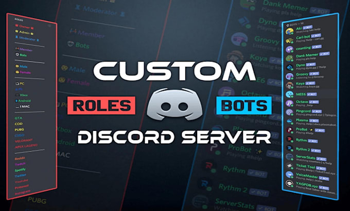 setup a professional custom discord server with bots, roles and automation
