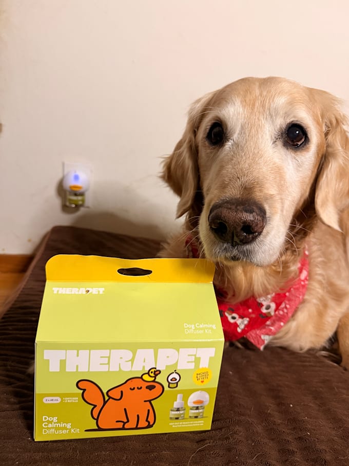 create dog ugc videos for your pet brand or product