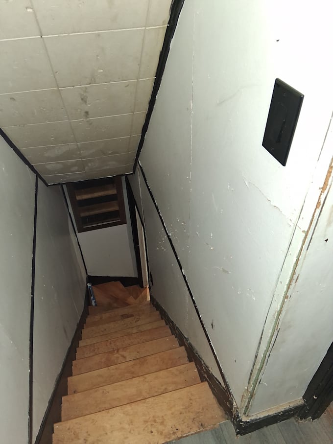 provide expert master tradesman consultation for any project