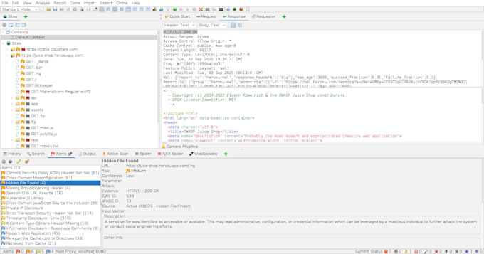 test your website for security vulnerabilities and provide report