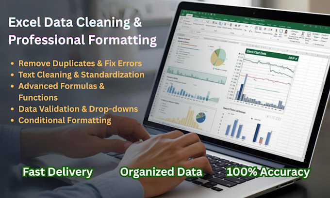 do accurate and fast excel data cleaning and formatting