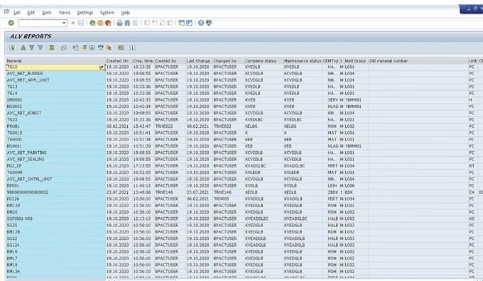 do the sap development and bug fix support