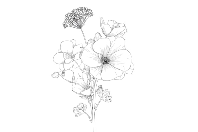 create botanical line art illustration, flower  illustration