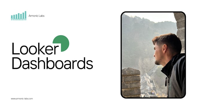 create professional dashboards and data visualization