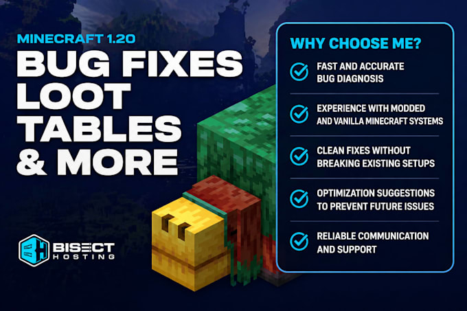 fix minecraft bugs, errors, crashes, plugins, mods and server issues