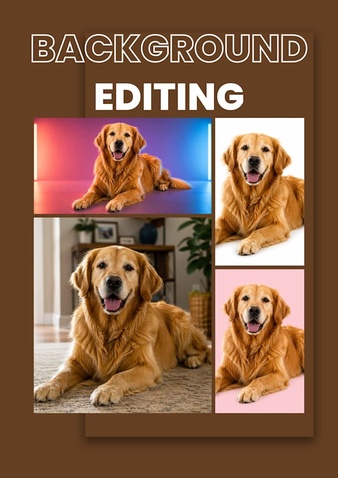 edit, replace, or customize backgrounds professionally