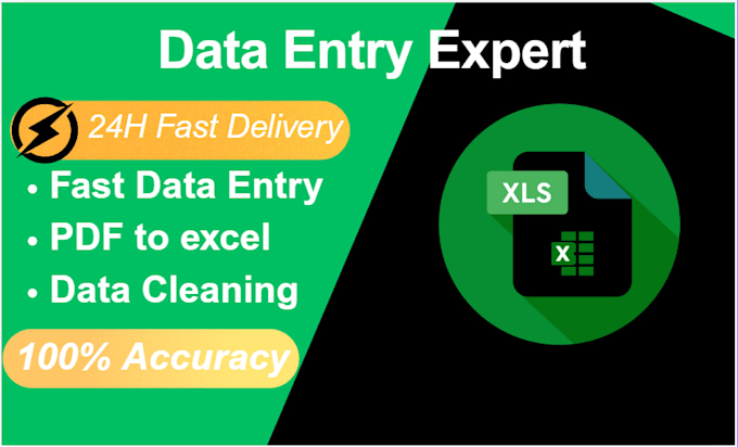 do accurate data entry excel data cleaning pdf to excel data