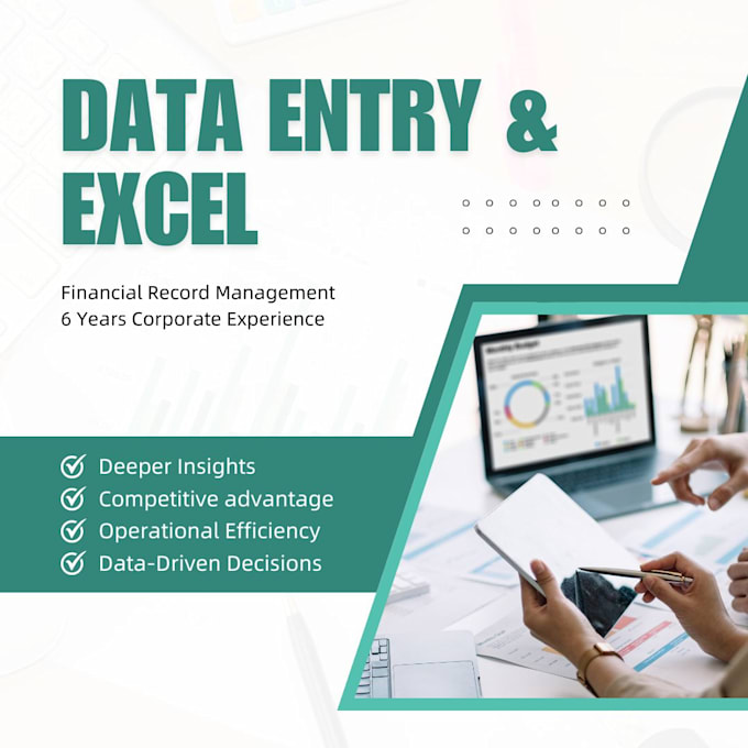 do professional data entry and excel financial record management