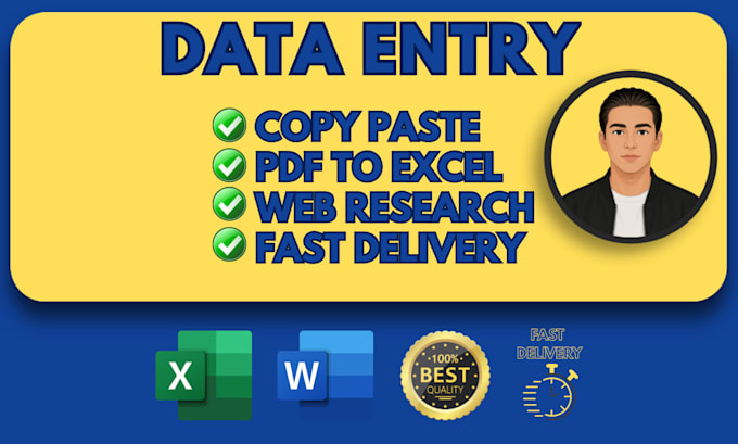do accurate excel data entry and manual typing