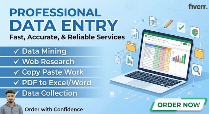 manage your professional excel data entry and web research