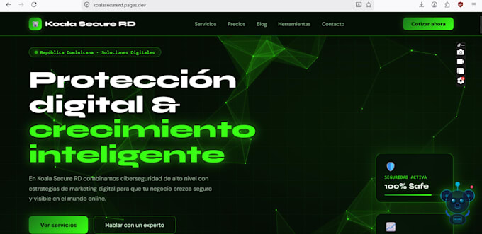 do a website security audit and vulnerability scan