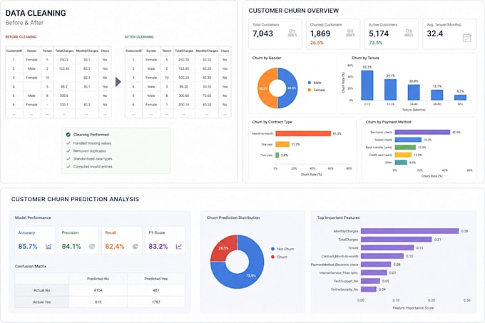 do data analysis, cleaning and visualization using python or excel