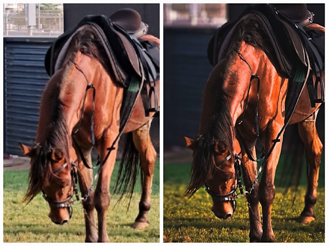 professionally edit your photos on lightroom