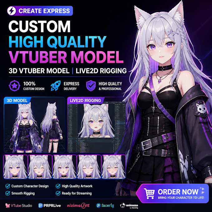 create express custom high quality vtuber model, 3d vtuber model live2d rigging