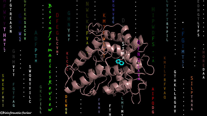 perform molecular docking and pymol visualization