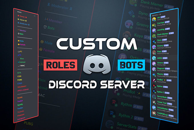 create and setup a professional discord server