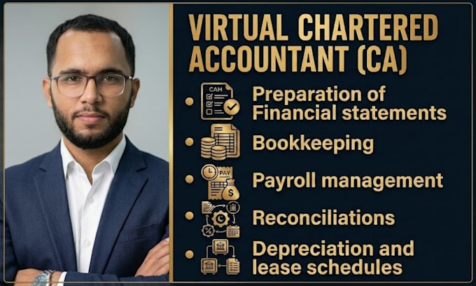 provide virtual accounting services like payroll and bookkeeping
