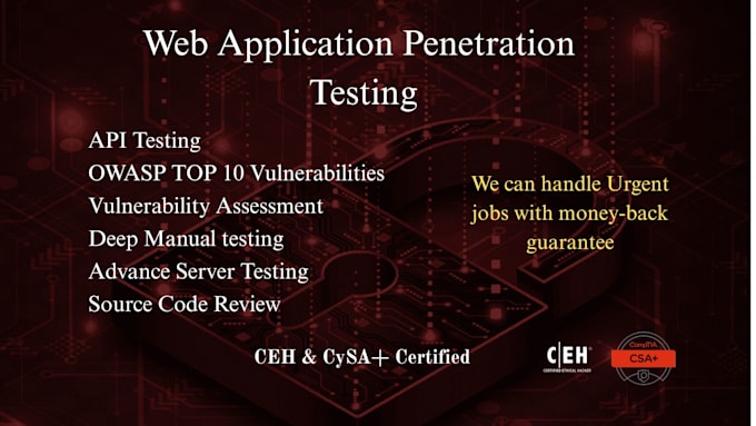 perform manual and automatic penetration testing for your website with report