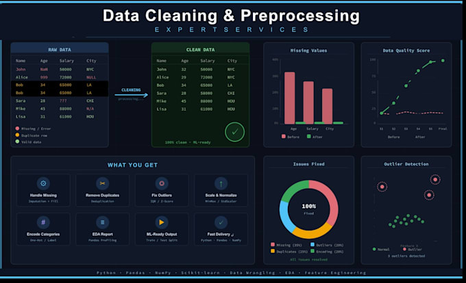 data cleaning and preprocessing expert