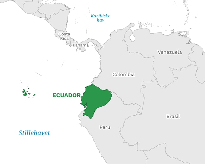 professionally create animated vox maps editing