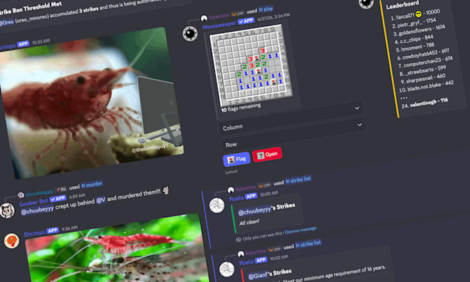develop a custom discord bot