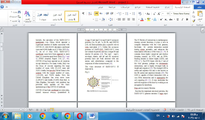 do data entry , pdf to word or excl conversion professionally