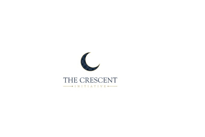 create a unique moon logo for your brand