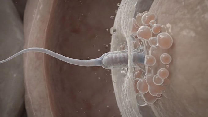 create 3d medical animation scientific animation and medical explainer video
